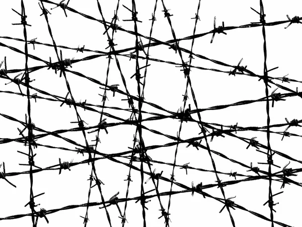 Wire fence texture Images - Search Images on Everypixel