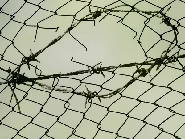 Barbed wire fence illustration — Stock Photo, Image