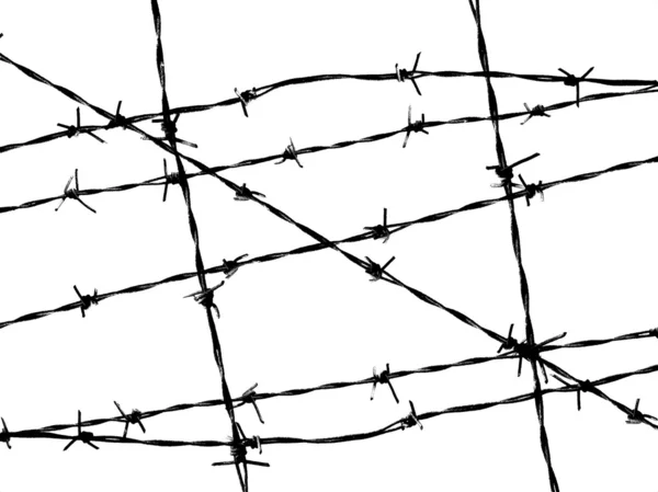 Barbed wire fence protection isolated on white for background texture ...
