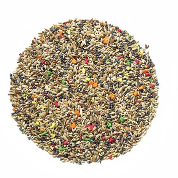 Birdseed, mixed granular food for canaries isolated on white background — Stock Photo, Image