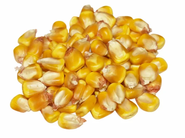 Haufen Maiskörner isoliert auf weiß — Stockfoto