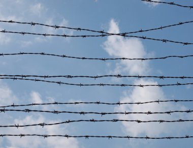 Barbed wire fence, Auschwitz, Konzentrations lager clipart