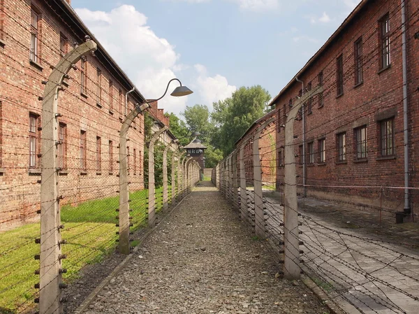 Освенцим, концентрационный лагерь (забор из колючей проволоки ) — стоковое фото