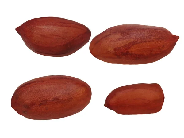 Conjunto de amendoins macro isolado no fundo branco — Fotografia de Stock