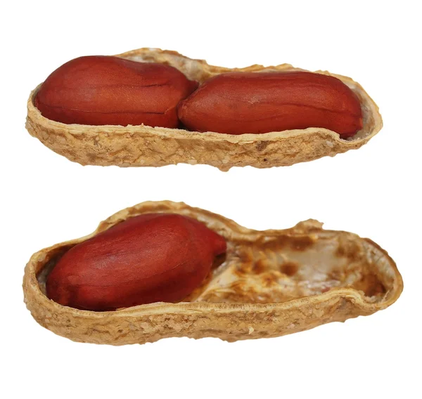 Set Makro-Erdnüsse isoliert auf weißem Hintergrund — Stockfoto
