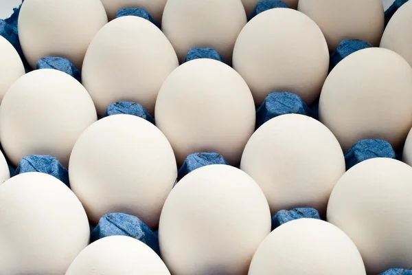 Яйца — стоковое фото