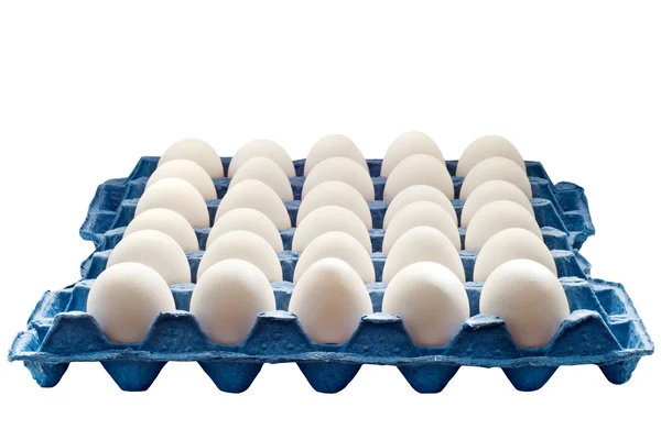 stock image Eggs