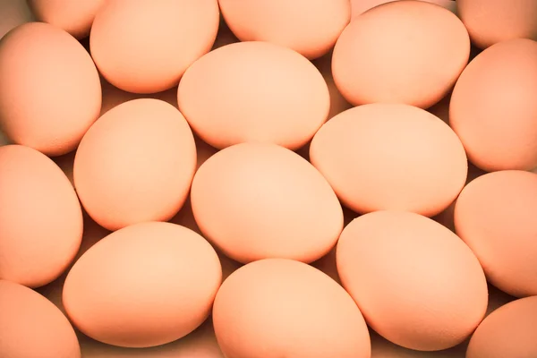 Jaja — Zdjęcie stockowe