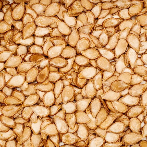 Contexto das sementes — Fotografia de Stock