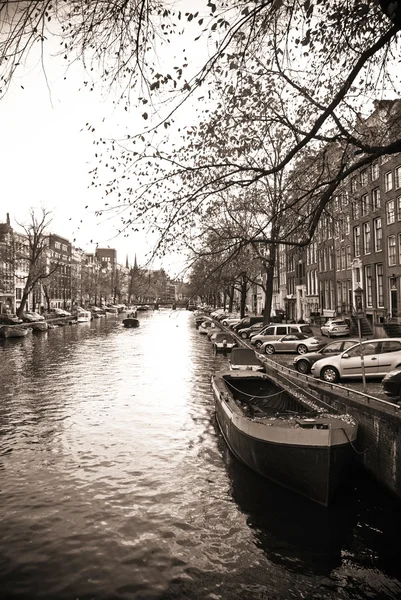 Amsterdammer — Stockfoto