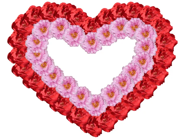 Zarámované srdce z květin — Stock fotografie
