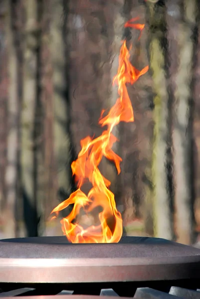 Вічний вогонь — стокове фото