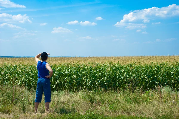 Stock image Man looking at the field