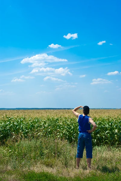 stock image Man looking at the field