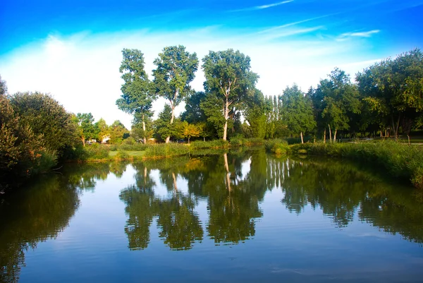 Beautiful pond — Stock Photo, Image