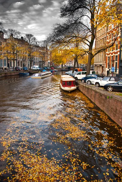 Amsterdam — Stockfoto