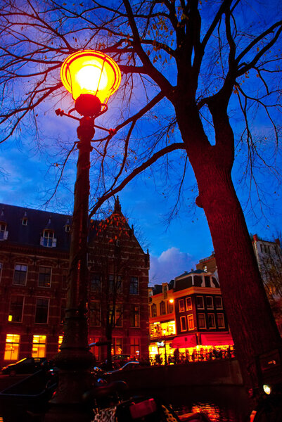 Lantern and tree in amsterdam