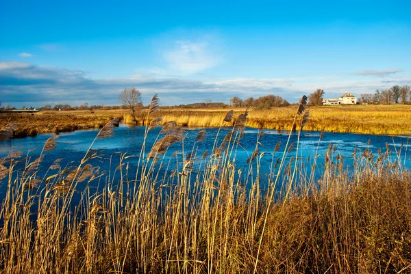 Pond in a field — Stock Photo, Image