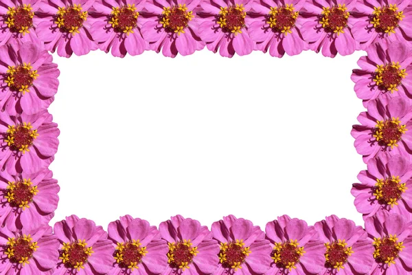 Purple flowers frame — Stock Photo, Image