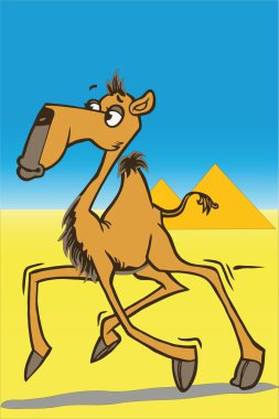 Camel in the desert clipart