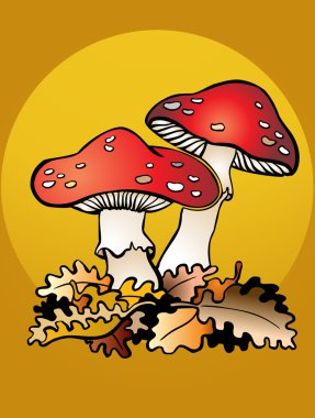 Mushrooms and leafs clipart