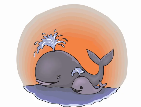 Twee walvissen — Stockvector