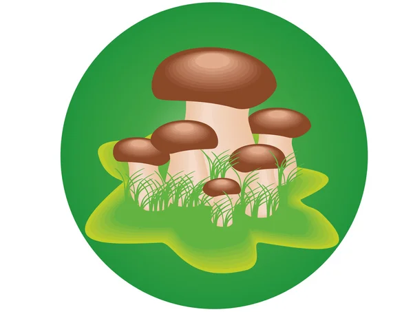 Champignons sur herbe verte — Image vectorielle