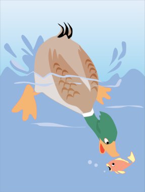 Duck catching fish clipart