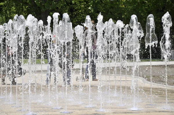 stock image Water park