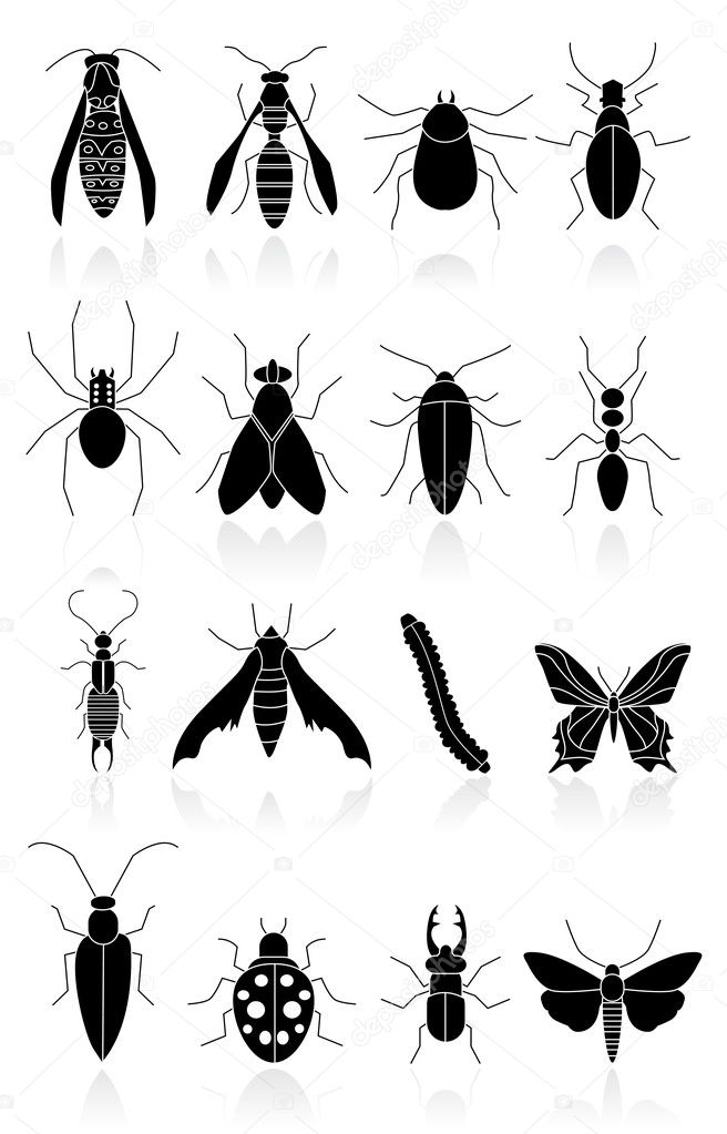 Bugs icons black