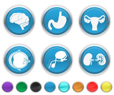 Human body organs,each color icon is set on a different layer clipart