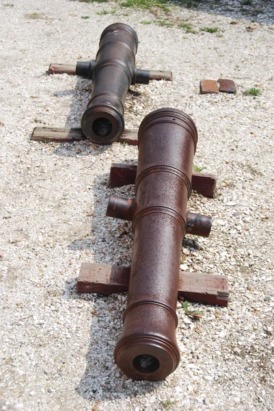 stock image Canons