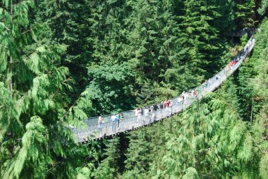 Capilano Bridge clipart