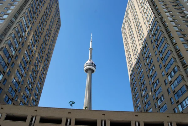 Toronto architektur, toronto architektur — Stockfoto