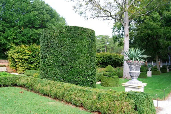 Palace Garden — Stock Photo, Image