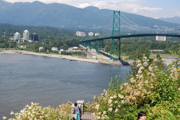 Vancouver 'daki Lions Gate Köprüsü — Stok fotoğraf