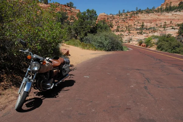 On the Road at Zion — Stock Photo, Image