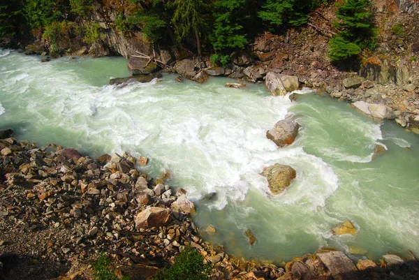 Whistler rivier in canada — Stockfoto