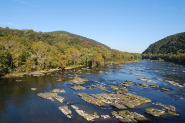 Potomac nehri