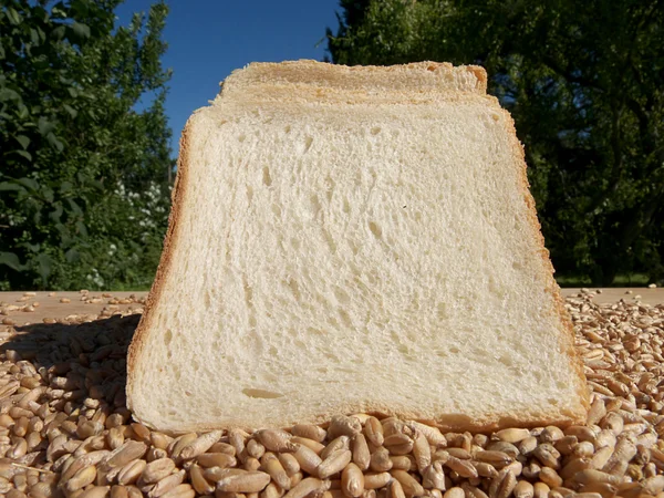 Пшеничный хлеб — стоковое фото