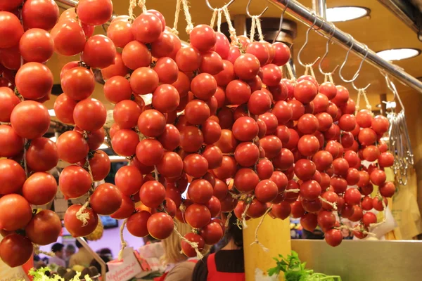 Oddział pomidory — Zdjęcie stockowe