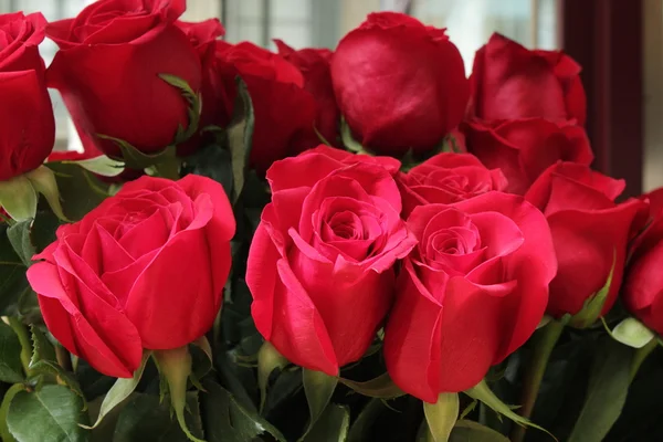 Rosas vermelhas — Fotografia de Stock