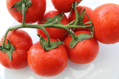 tomates tr rama