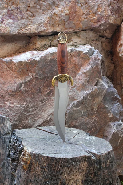 Bowie knife — Stock Photo, Image