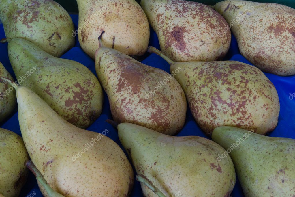 Pears blanquilla Stock Photo by ©edu1971 5989570