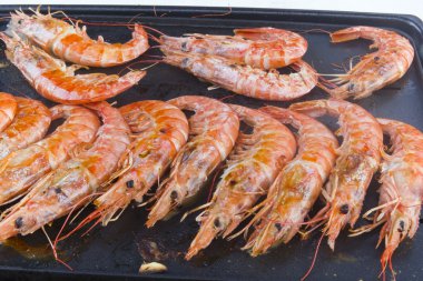 Shrimp prawns clipart