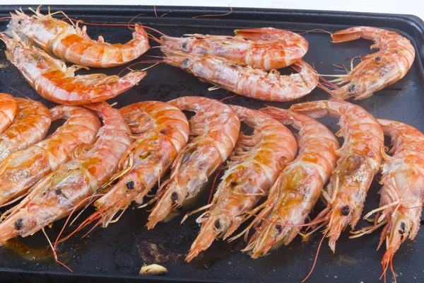 Shrimp prawns — Stock Photo, Image