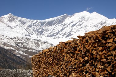 Himalaya Dağları'nda doğranmış tahta