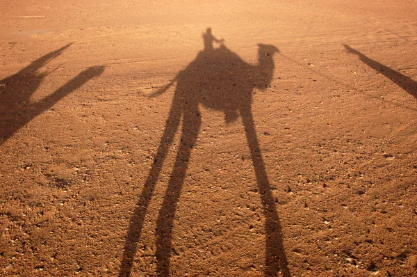 在撒哈拉沙漠中的阴影 图库照片