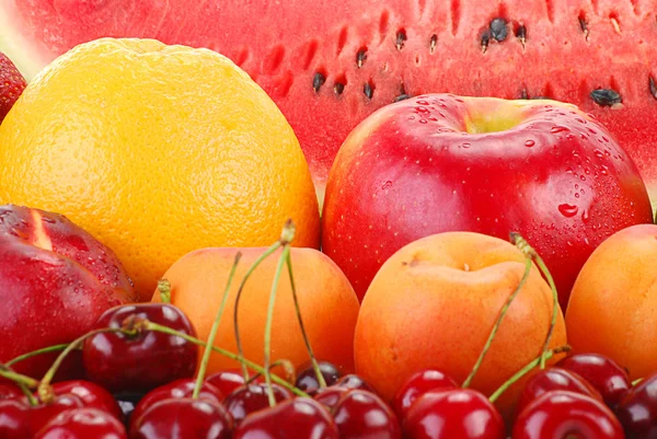 Composição com variedade de frutas — Fotografia de Stock